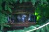 <img100*0:stuff/z/169023/squirrel./i1279904402_9.jpg>