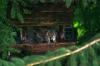 <img100*0:stuff/z/169023/squirrel./i1279904403_18.jpg>