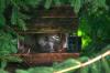 <img100*0:stuff/z/169023/squirrel./i1279904403_21.jpg>