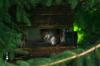 <img100*0:stuff/z/169023/squirrel./i1279904403_22.jpg>