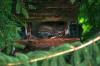 <img100*0:stuff/z/169023/squirrel./i1279904403_23.jpg>