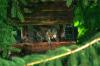 <img100*0:stuff/z/169023/squirrel./i1279904403_24.jpg>