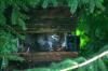 <img100*0:stuff/z/169023/squirrel./i1279904403_27.jpg>