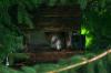 <img100*0:stuff/z/169023/squirrel./i1279904403_28.jpg>