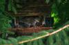 <img100*0:stuff/z/169023/squirrel./i1279904403_29.jpg>