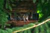 <img100*0:stuff/z/169023/squirrel./i1279904403_30.jpg>