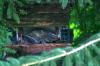 <img100*0:stuff/z/169023/squirrel./i1279904403_31.jpg>