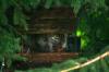 <img100*0:stuff/z/169023/squirrel./i1279904403_33.jpg>