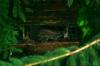 <img100*0:stuff/z/169023/squirrel./i1279904403_34.jpg>