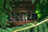 <img100*0:stuff/z/169023/squirrel./i1279904403_36.jpg>