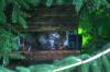 <img100*0:stuff/z/169023/squirrel./i1279904403_38.jpg>