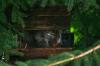 <img100*0:stuff/z/169023/squirrel./i1279904403_39.jpg>