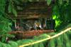 <img100*0:stuff/z/169023/squirrel./i1279904403_41.jpg>
