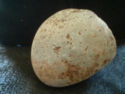 <img250*0:stuff/z/169023/stones%25203/i1255996214_21.jpg>
