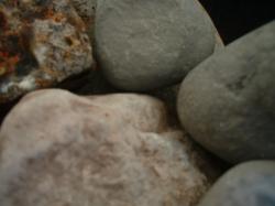 <img250*0:stuff/z/169023/stones%25205/i1255997131_15.jpg>