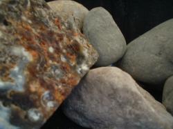 <img250*0:stuff/z/169023/stones%25205/i1255997131_19.jpg>