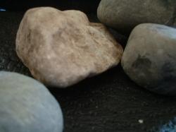 <img250*0:stuff/z/169023/stones%25205/i1255997132_27.jpg>