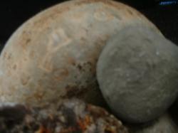 <img250*0:stuff/z/169023/stones%25205/i1255997132_30.jpg>