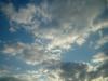 <img100*0:stuff/z/169023/sun33/i1259709847_2.jpg>