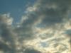 <img100*0:stuff/z/169023/sun33/i1259709848_10.jpg>