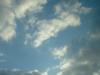 <img100*0:stuff/z/169023/sun33/i1259709848_23.jpg>