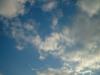 <img100*0:stuff/z/169023/sun33/i1259709848_7.jpg>