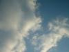 <img100*0:stuff/z/169023/sun33/i1259709849_28.jpg>