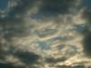 <img100*0:stuff/z/169023/sun33/i1259709849_29.jpg>