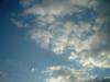 <img100*0:stuff/z/169023/sun41/i1259709804_17.jpg>