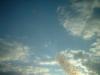 <img100*0:stuff/z/169023/sun41/i1259709804_21.jpg>