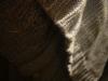 <img100*0:stuff/z/169023/sweater/i1263583042_11.jpg>