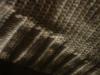 <img100*0:stuff/z/169023/sweater/i1263583042_15.jpg>