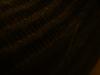 <img100*0:stuff/z/169023/texture6/i1259884763_3.jpg>