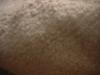 <img100*0:stuff/z/169023/texture6/i1259884763_6.jpg>
