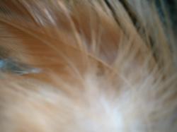 <img250*0:stuff/z/169023/texures%2520more/i1256080647_12.jpg>