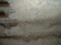 <img250*0:stuff/z/169023/texures%2520more/i1256080647_18.jpg>
