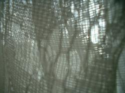 <img250*0:stuff/z/169023/texures%2520more/i1256080647_2.jpg>