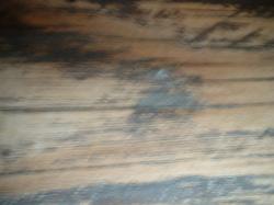 <img250*0:stuff/z/169023/texures%2520more/i1256080647_3.jpg>