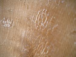 <img250*0:stuff/z/169023/texures%2520more/i1256080647_8.jpg>