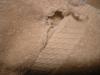 <img100*0:stuff/z/169023/towoel/i1263583494_1.jpg>