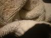 <img100*0:stuff/z/169023/towoel/i1263583494_10.jpg>