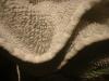 <img100*0:stuff/z/169023/towoel/i1263583494_11.jpg>
