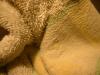 <img100*0:stuff/z/169023/towoel/i1263583494_4.jpg>