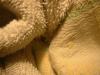 <img100*0:stuff/z/169023/towoel/i1263583494_6.jpg>