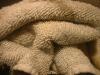 <img100*0:stuff/z/169023/towoel/i1263583495_16.jpg>