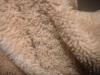 <img100*0:stuff/z/169023/towoel/i1263583495_17.jpg>