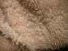 <img100*0:stuff/z/169023/towoel/i1263583495_18.jpg>