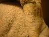 <img100*0:stuff/z/169023/towoel/i1263583495_21.jpg>