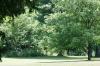 <img100*0:stuff/z/169023/tree%2520stock%25202/i1279820721_21.jpg>