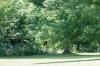 <img100*0:stuff/z/169023/tree%2520stock%25202/i1279820721_23.jpg>